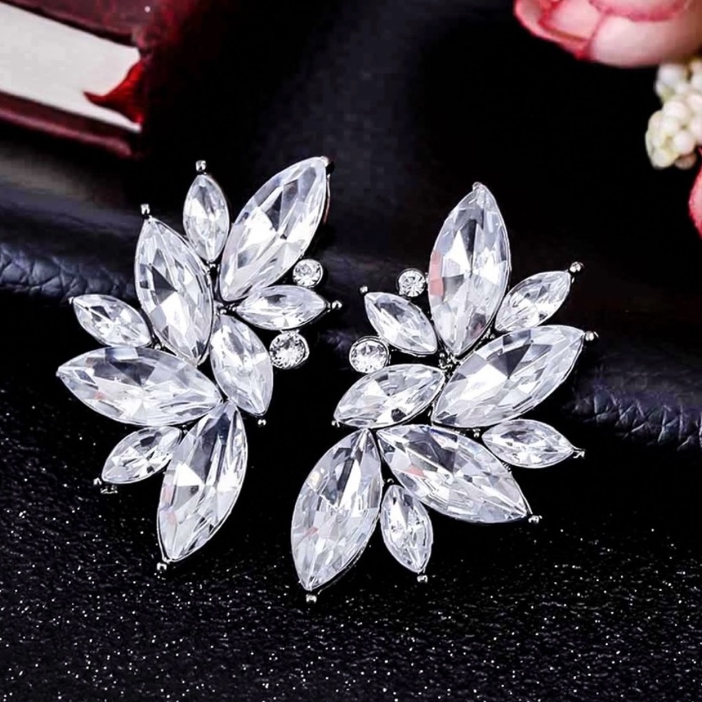 Crystal Cluster Statement Stud Earrings - image 1